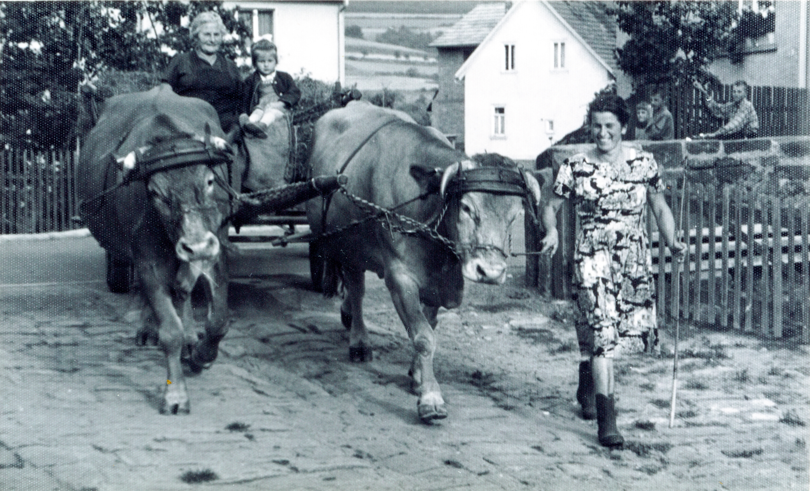 Hedwig Larösch 1963